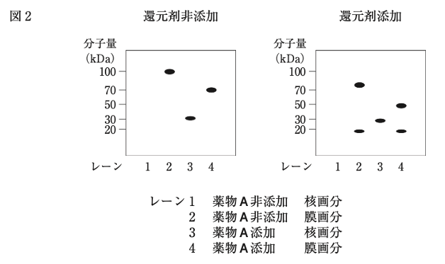 解説画像